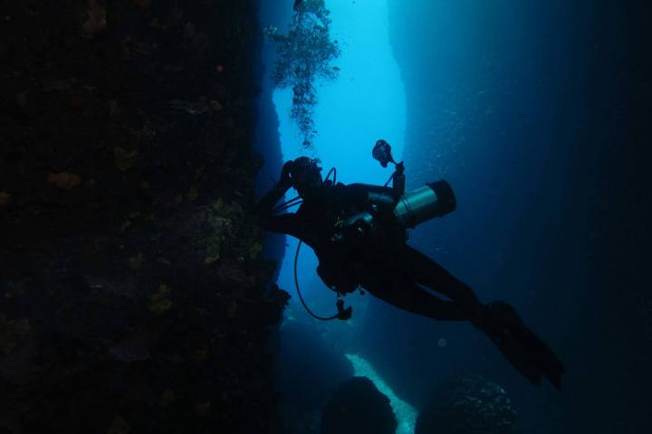 Scuba diving for certified divers