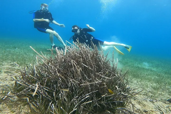 Underwater moments in Schinias Bay