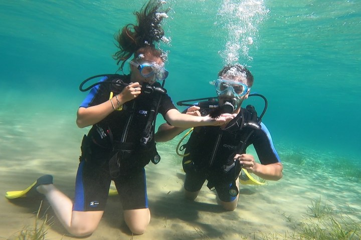 Discover Scuba Diving moments