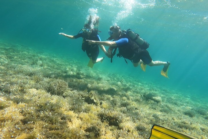Scuba diving in Marathon Cape