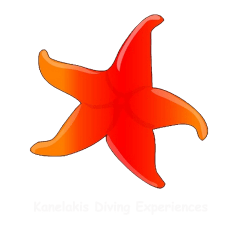 Kanelakis Diving Experiences