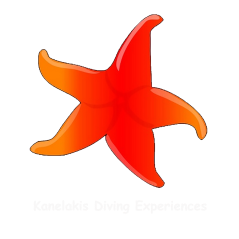 Kanelakis Diving Experiences