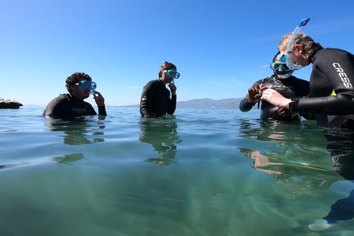 Time for fun in the water