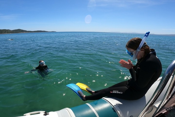 Snorkeling boat trip in Nea Makri.