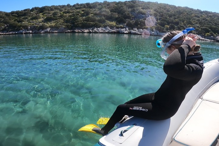 Ready to jump inside the water.