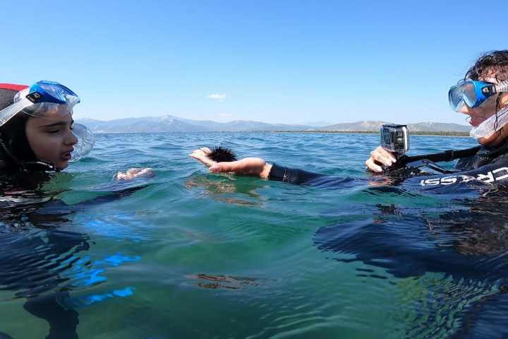 In the water moments