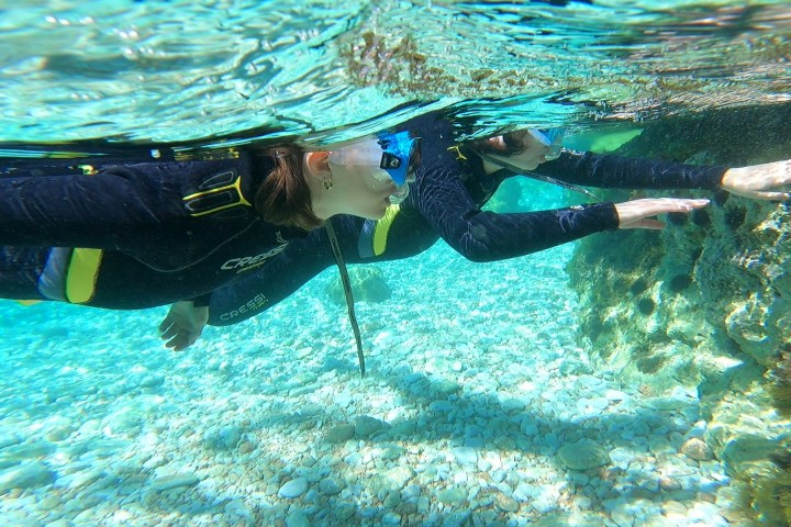 Snorkeling in Marathon Cape.