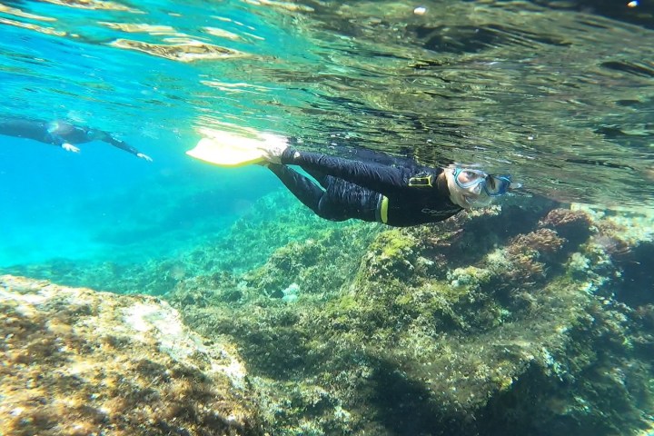 Underwater moments in Schinias Bay.
