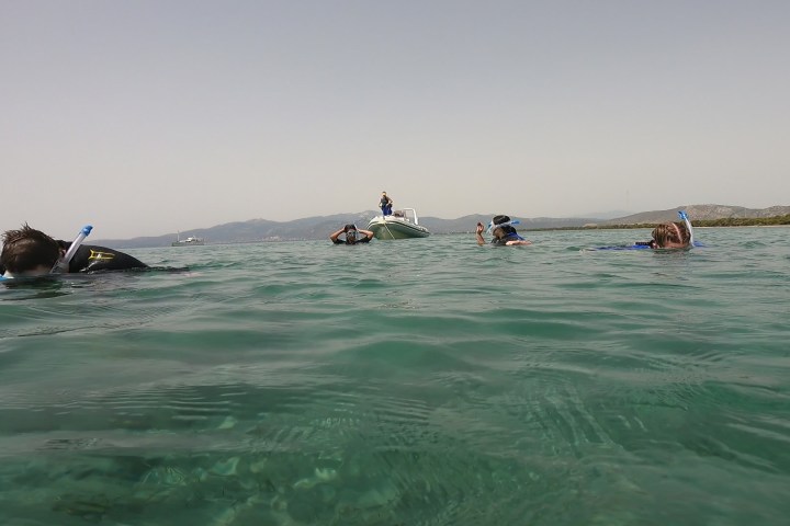Snorkeling boat trip in Nea Makri.