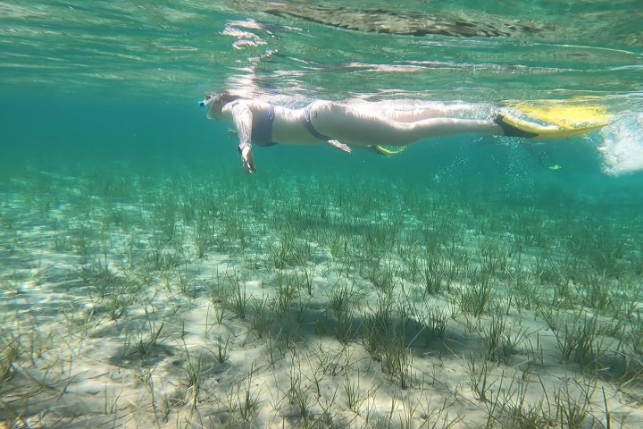 Snorkeling in crystal clear waters.