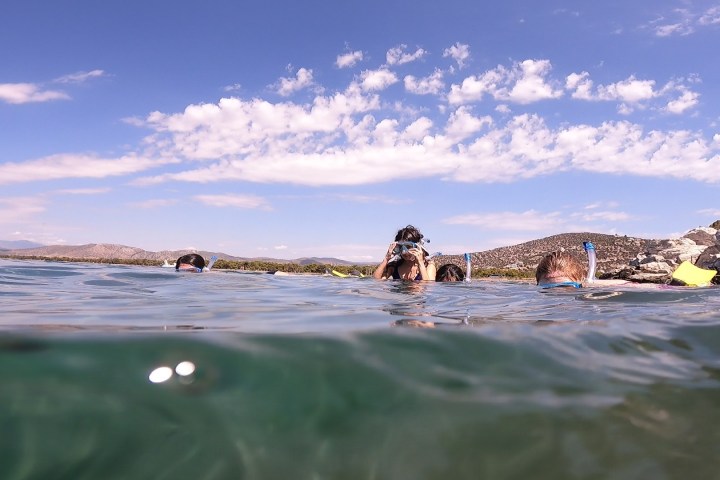 Snorkeling Boat trip in Nea Makri.