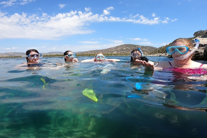 a group of people swimming in the water